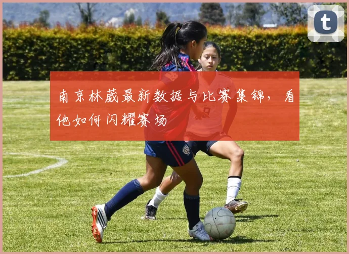 南京林葳最新数据与比赛集锦,看他如何闪耀赛场