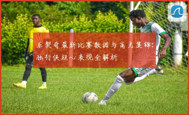 东契奇最新比赛数据与高光集锦：独行侠核心表现全解析